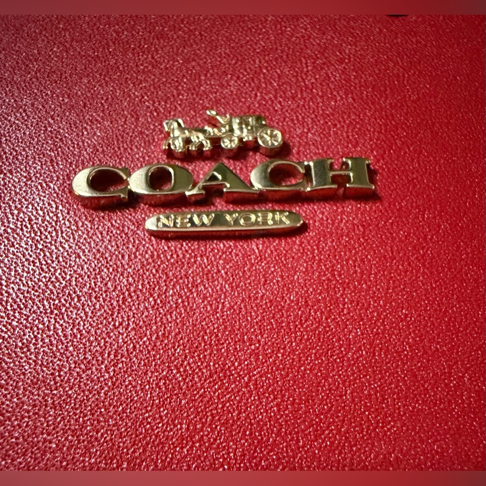 Coach Strawberry Pouch/Crossbody - Picture 11 of 11